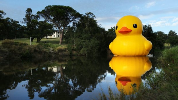Florentijn Hofman's five-storey-high inflatable rubber duck on the Parramatta River during the 2014 Sydney Festival. 