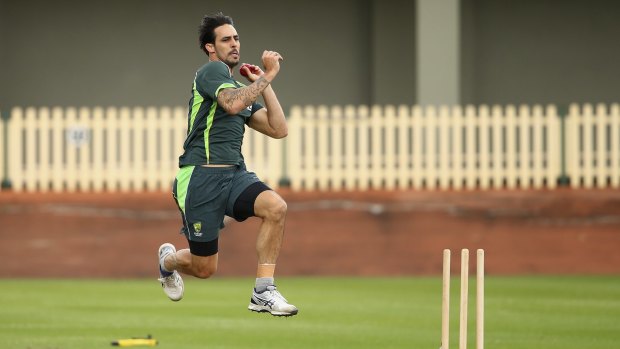 Flame reignited: Mitchell Johnson at the Australian training camp at Hurstville Oval on Wednesday.