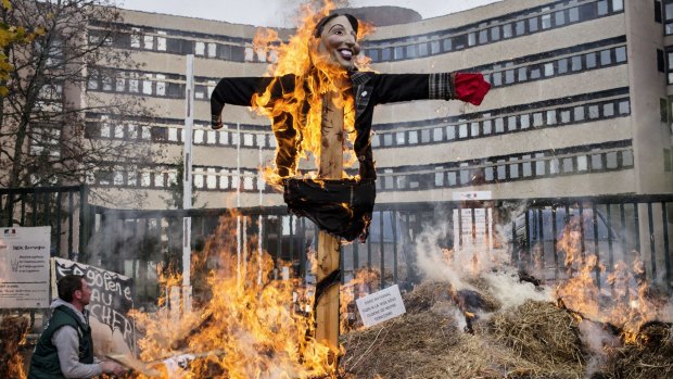 An effigy of Ecology Minister Segolene Royal burns in Dijon.