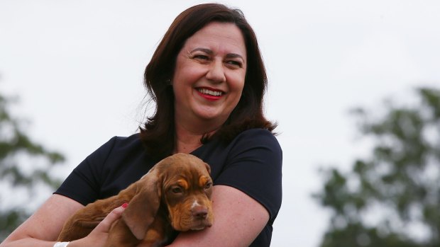 Queensland is set to delay its election until early next year to capitalise on One Nation's poor showing in WA.