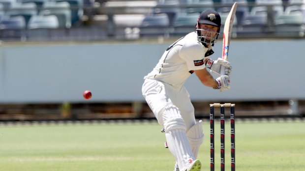 Shaun Marsh is a controversial pick for the Australian test team.