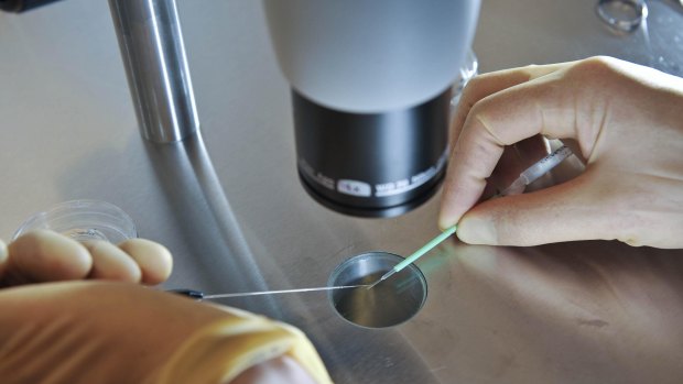 The Human Fertilisation and Embryology Authority, Britain's fertility regulator, has approved a scientist's application to edit the human genetic code using a new technique that some fear will lead to 'designer babies'. File photo.