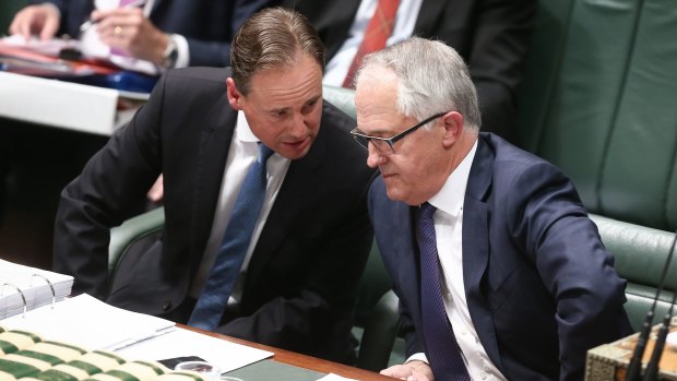 Environment Minister Greg Hunt and Prime Minister Malcolm Turnbull during question time last month. 