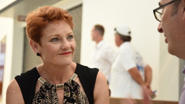 Let's not forget Senator Pauline Hanson – who had ''no assistance'' and ''no help from anyone'' as a mother.