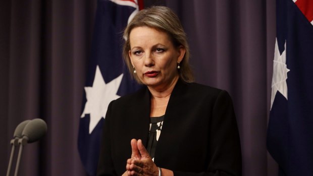 "The Abbott government is committed to working with the mental health sector to deliver effective, efficient and high-quality services": Sussan Ley.