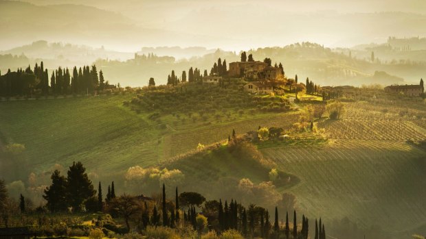 The breathtaking hills and vineyards near San Gimignano.