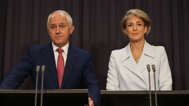 Mr Palmer filed lawsuits against Prime Minister Malcolm Turnbull and Employment minister Senator Michaelia Cash in February.