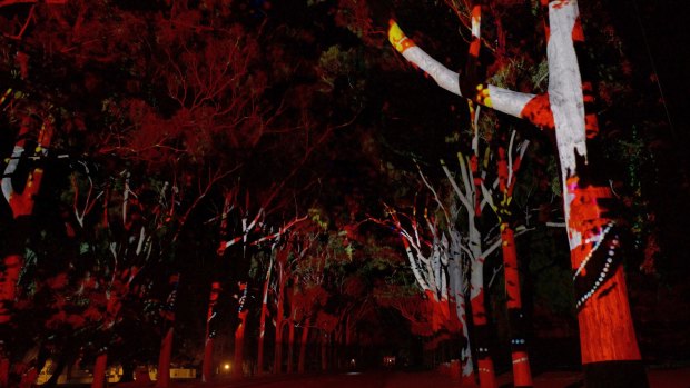 Kings Park's trees came to life in the PIAF opening spectacular.
