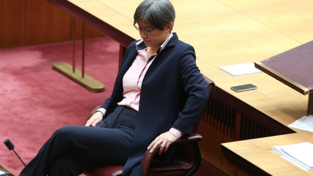 Labor senator Penny Wong delivered an emotional speech on same-sex marriage in the Senate.