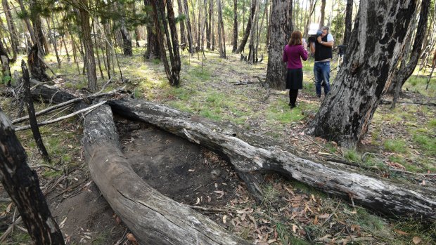 The site in Macedon Regional Park where the remains of a woman were found on Monday.
