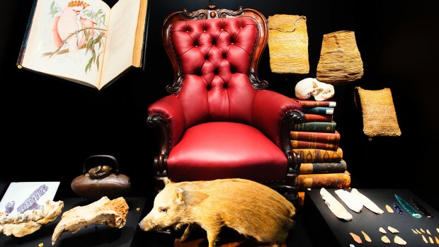 Gerard Krefft's chair and a stuffed pig similar to his pet that used to trot after him can now be seen at the Australian Museum.