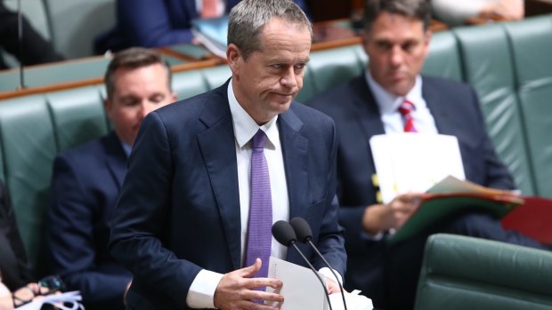 Bill Shorten has committed Labor to taking an emissions trading scheme to the next election.