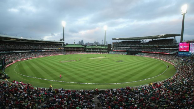 Packed house: The Big Bash League has had an average attendance of 30,534 ahead of this week's finals.