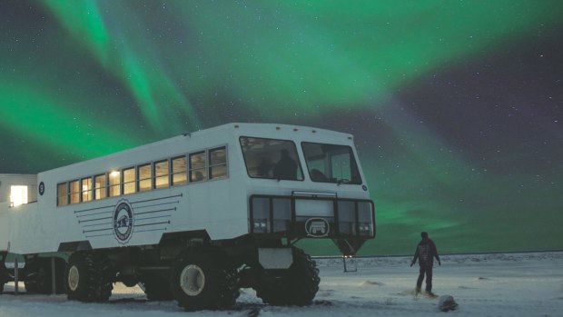 See the Northern Lights from the “tundra buggy” in Manitoba, Canada.