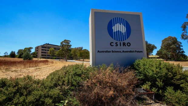 A CSIRO scientist says the decision to axe 350 staff has caused chaos and witch-hunts within the organisation.