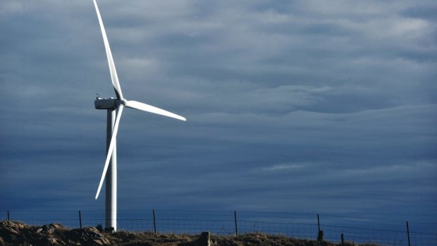 It takes a special kind of hysteria to get worked up over windmills.