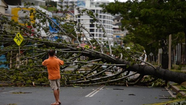 A resident takes a photo of a fallen tree brought down by Cyclone Marcia in Yeppoon.