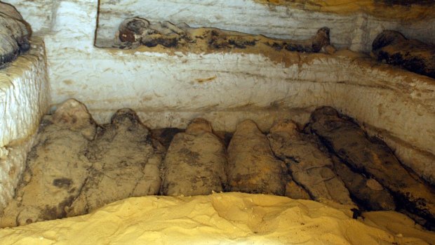Earlier discovery: nine 2000-year-old mummies rest underground in Egypt's Valley of the Golden Mummies in 2004.
