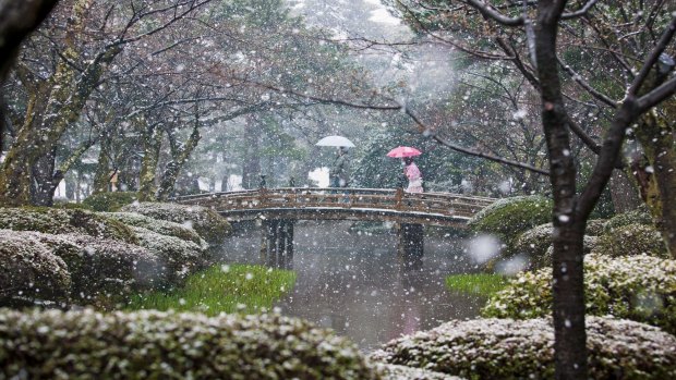 Claire Takacs' photograph of Japan's Kenrokuen garden won the inaugural International Garden Photographer of the Year competition in 2008.