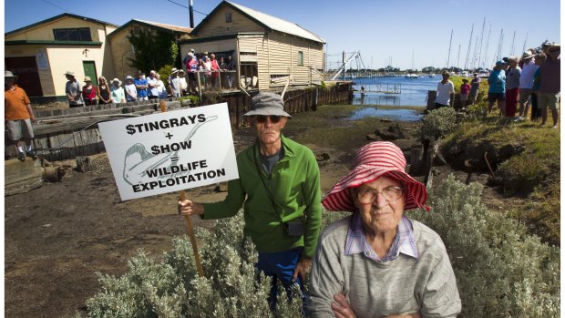 Many Queenscliff locals, including Martin Butler and Rhonda Ray, do not want the proposed stingray-feeding attraction built. 