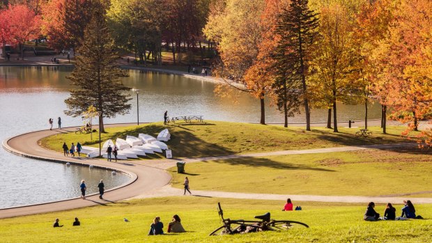 Parc du Mont-Royal was designed by the same architect as New York's Central Park.