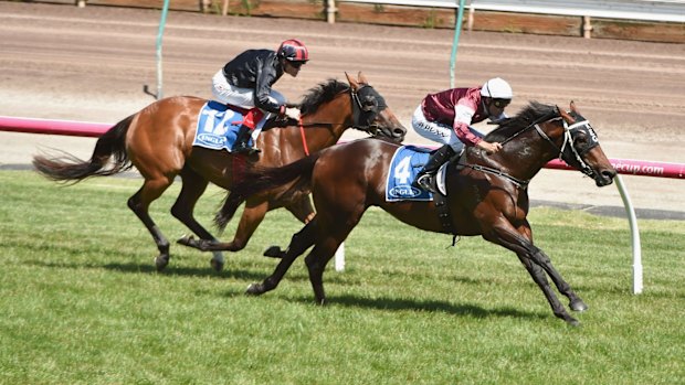 Dwayne Dunn on Hellbent nudges ahead of Craig Williams on Mossin' Around in the Inglis Dash.