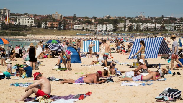 The chaos was typical of the fight for sandy real estate on busy Sydney beaches. 