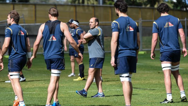 Doctoring the pack: Scrum coach Mario Ledesma works with his forwards in Sydney.