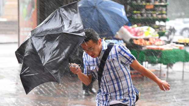 It has been an unusually wet March in Sydney, which has already seen 111.8 millimetres fall this month so far.