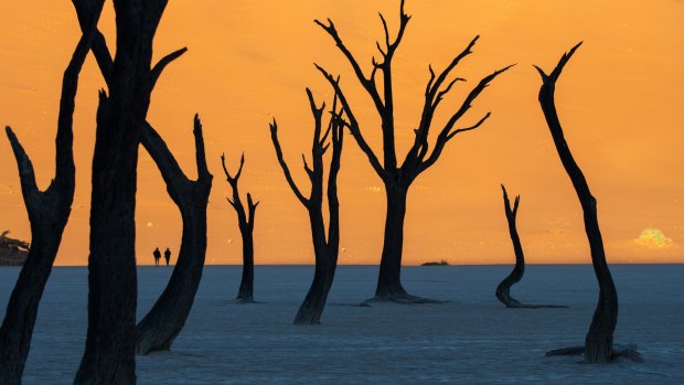 Arrive at Deadvlei five minutes late and you'll miss the most photogenic scene on Earth.