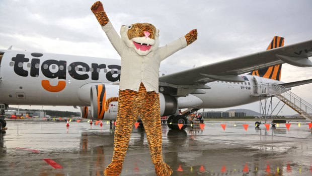 The impostor mascot who welcomed the first Tigerair flights from Melbourne to Canberra.