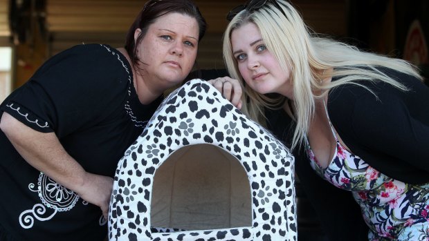 Joanne Collins and Maddi Hidasi fear their cats have been taken for dog baiting. 