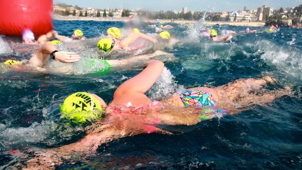 Swimmers compete in this year's Coogee Island Challenge.