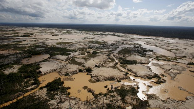 An area of the Amazon rainforest destroyed by illegal gold mining.