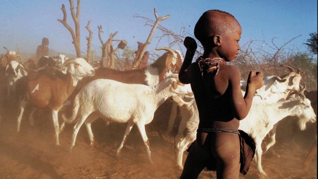 Eitha, a little Himba boy stands outside the ekraal, his homestead,  while goats are being chased out to graze for the day.