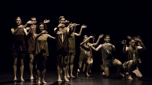 Gabrielle Nankivell's Wildebeest, part of the Sydney Dance Company's <i>Untamed</i> double-bill, has developed into a signature piece.
