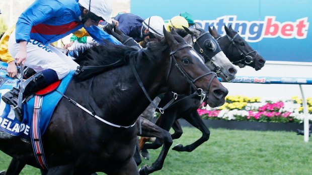 Three-for-all: Adelaide pips Fawkner and a wall of horses in a thrilling finish.