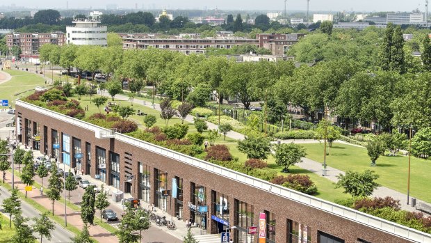 Dakpark in Rotterdam.