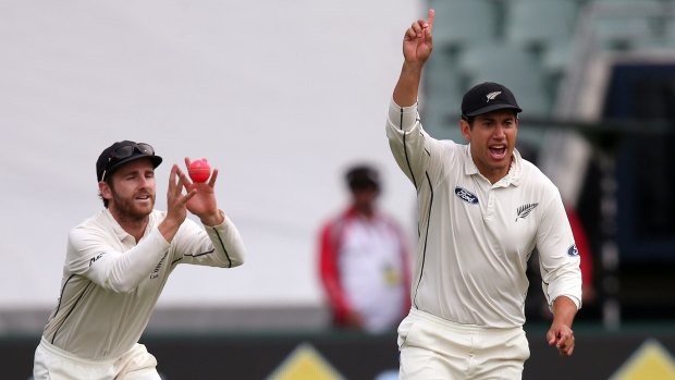 Harsh call: Kane Williamson makes a catch, while Ross Taylor appeals, believing they had claimed the wicket of Nathan Lyon.