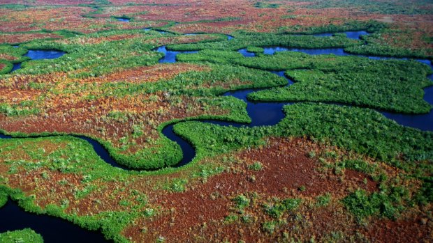 Everglades: The 'most threatened park in the US'.