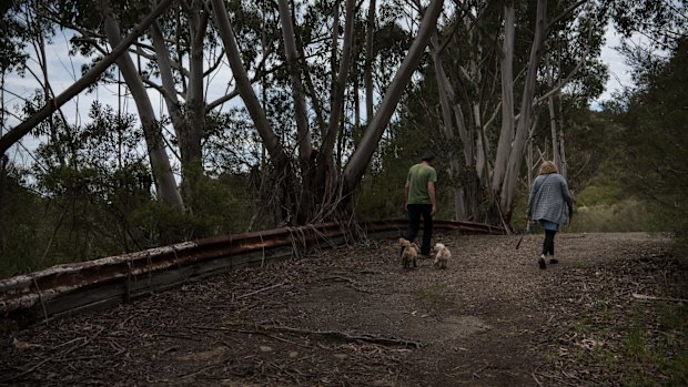 Remnants of Catalina Park, an abandoned motor racing circuit in Katoomba.