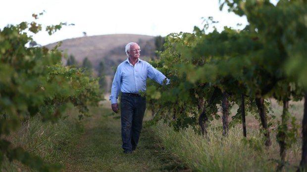 Ken Helm, of Helm Wines, says his business would struggle to survive if backpacker worker numbers dried up.