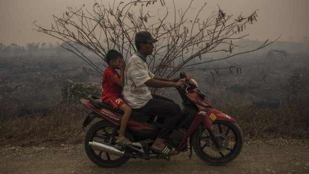 Choking haze in Palembang, Indonesia, on the weekend.