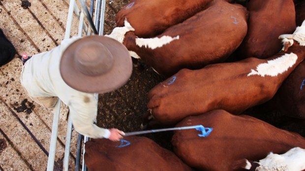 Meat exports jumped 43 per cent to $14 billion in the year to June, helped by US production falling because of drought.