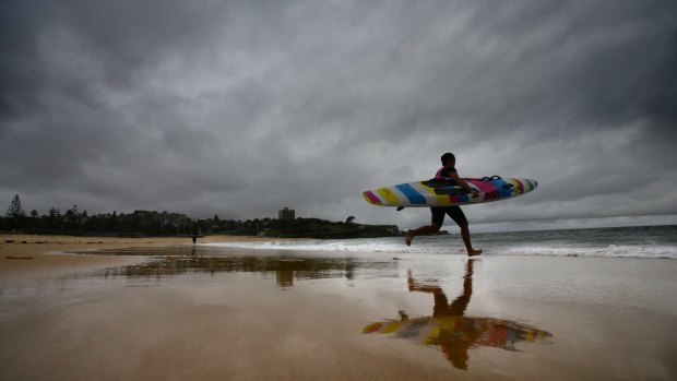Wendy Pepper, from Clovelly Surf Life Saving Club, trains at Coogee on Tuesday. 