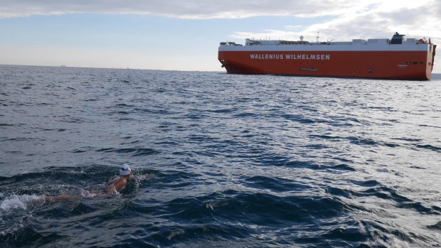 Chloe McCardel swims the English Channel for the 19th time earlier last week.