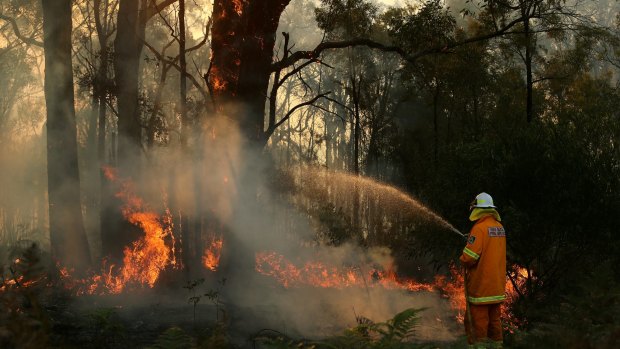 Firefighters were putting out spot fires behind properties near Abermain on Wednesday.