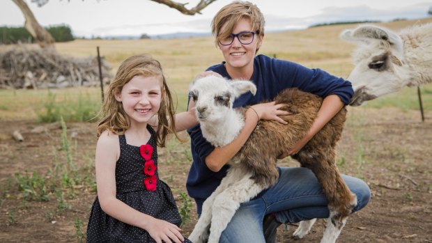 Aurelia Evans, 6, of Jerrabomberra, and Alpaca Magic volunteer Becki Hunter with baby llama - or 'cria' - "Waratah".


The Canberra Times

Photo Jamila Toderas
