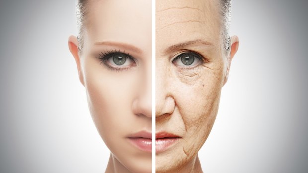 The activity of a key enzyme in human skin declines with age, researchers say