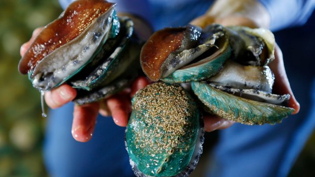 Poached abalone can be bought for about $55/kg in Victoria, whereas the commercial price is about $130/kg.